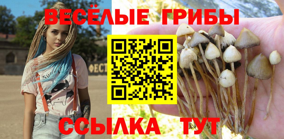 Ливны  Галлюциногенные грибы Psilocybine cubensis  наркошоп  Вход с VPN  Псилоцибиновые грибы прущие грибы 