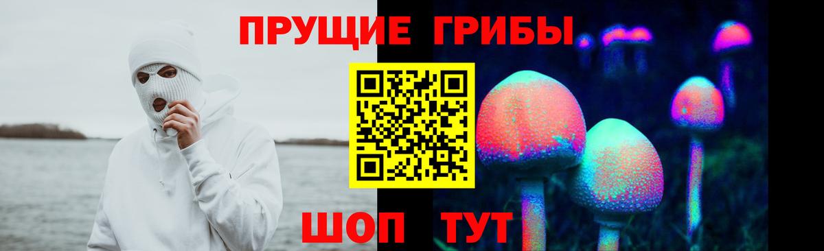 Псилоцибиновые грибы Cubensis Ливны